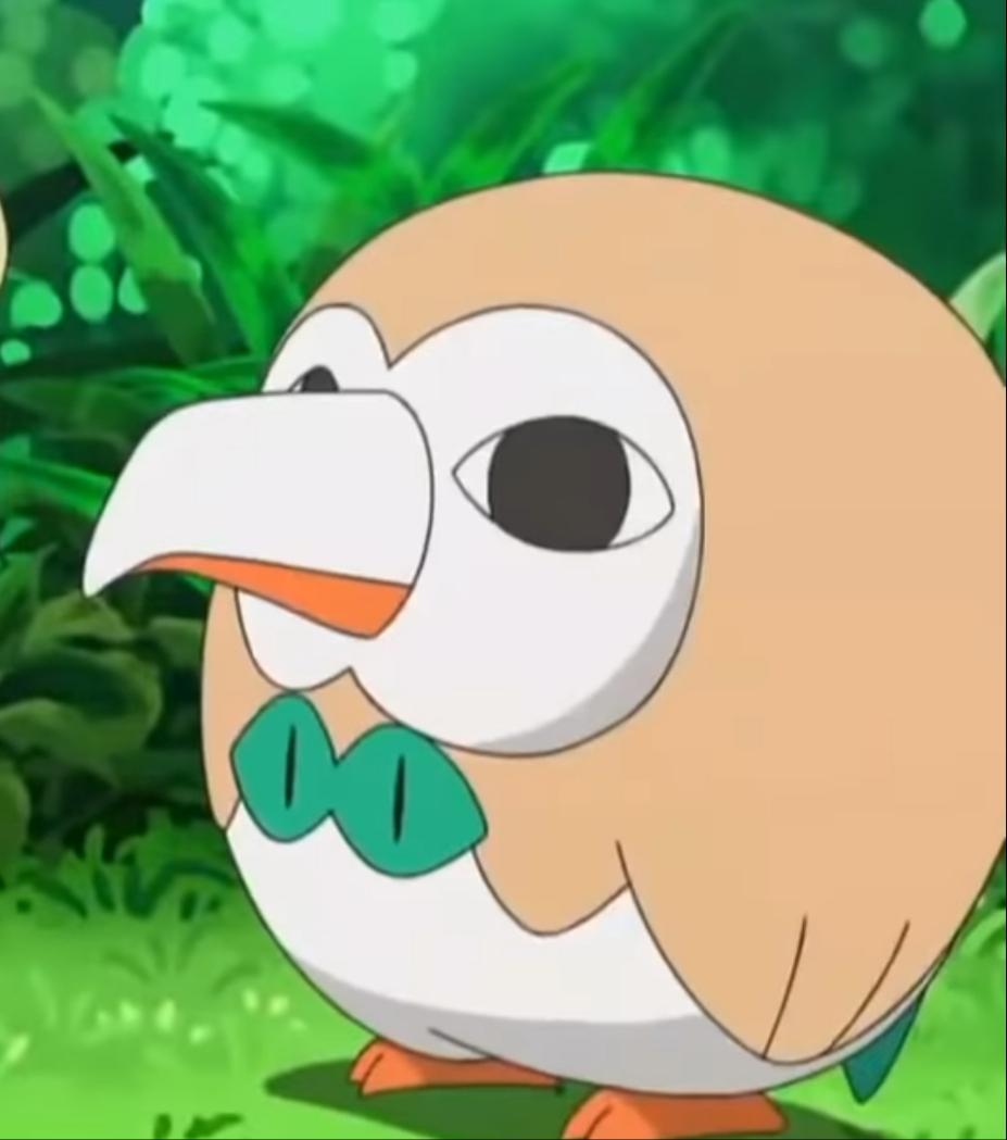 Poker face Rowlet with a neutral expression