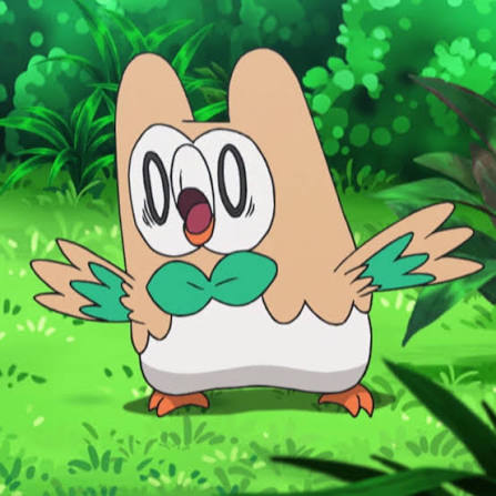 Shocked Rowlet with wide eyes