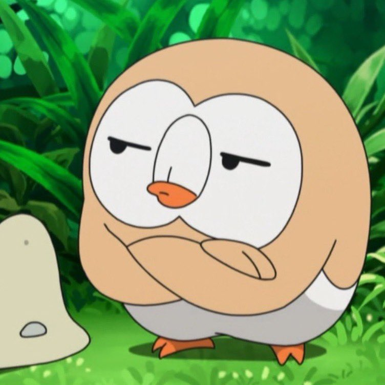 Unimpressed Rowlet with a flat expression