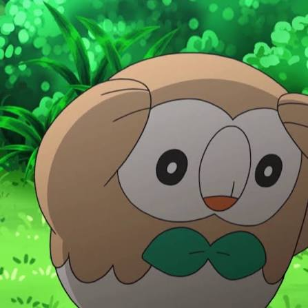 Worried Rowlet looking concerned